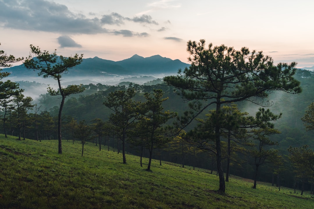 Photo by Pete Walls a grassy field with trees and mountains in the background
