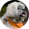 Melissa Avatar